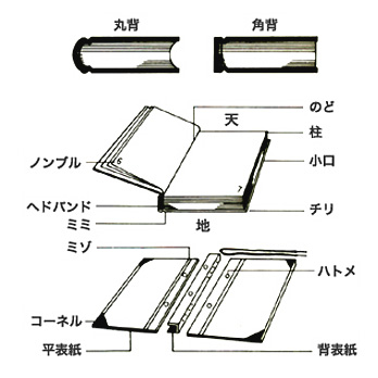 本・表紙の各部名称